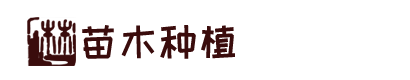 九游会国际站_九游会j9登录入口首页